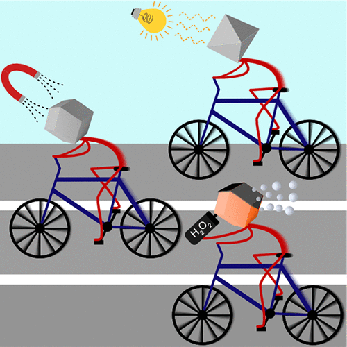 Metal-Organic Frameworks in Motion Graphical Abstract
